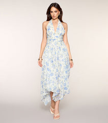 RSVP Pretty Floral Chiffon Maxi Dress