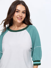 Color Contrast Raglan Sleeve Sweatshirt