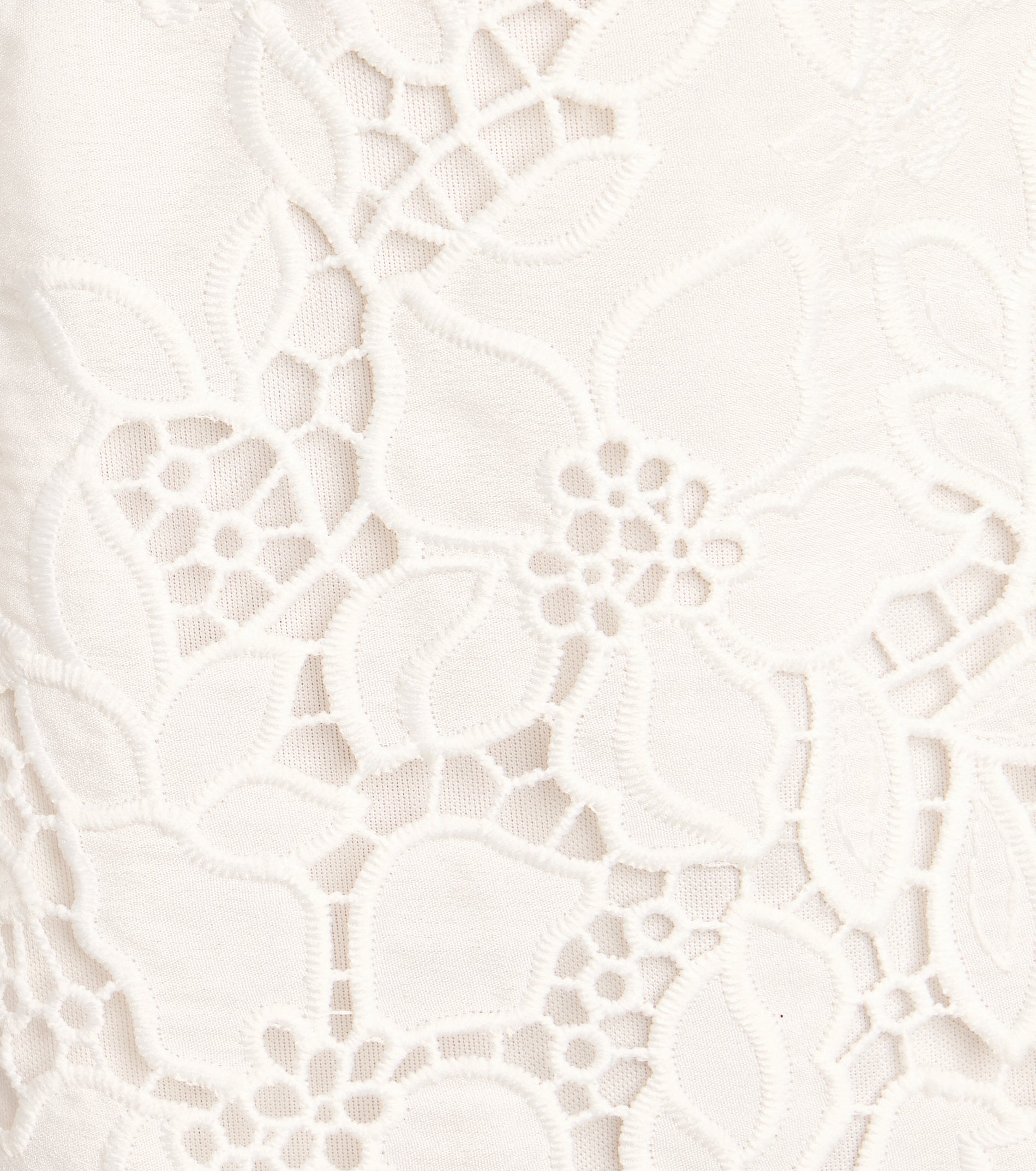 Charmed And Booked Lace Skater Dress