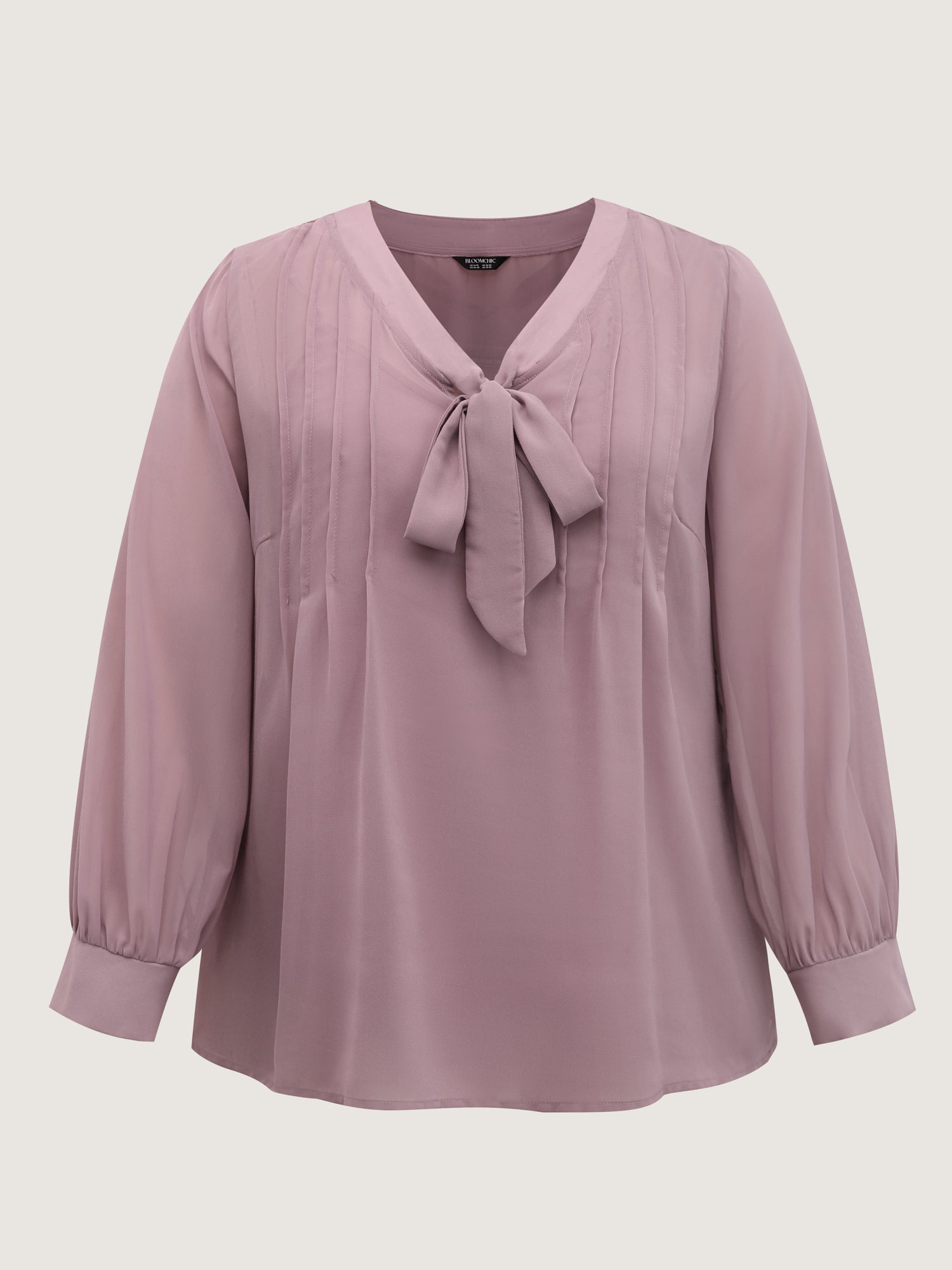Toothpick Pleats Neck-Tie Sheer Blouse