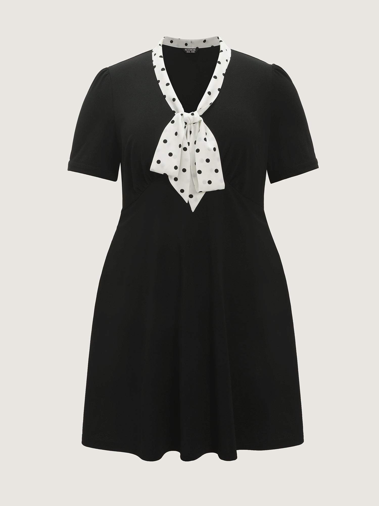 Polka Dots Print Ribbon Neckline Mini Dress