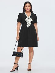 Polka Dots Print Ribbon Neckline Mini Dress