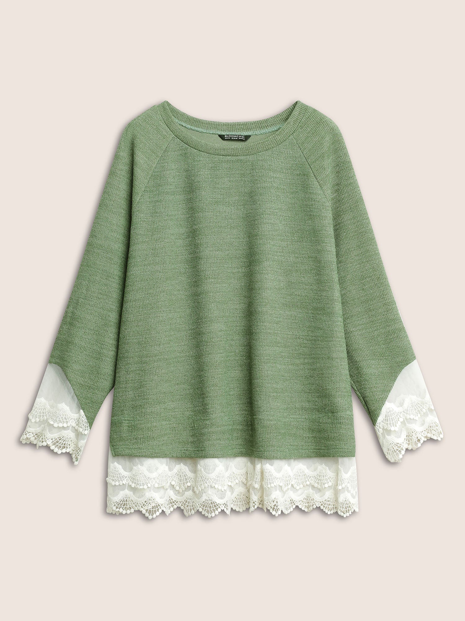 Guipure Lace Raglan Sleeve Plisse Sweatshirt