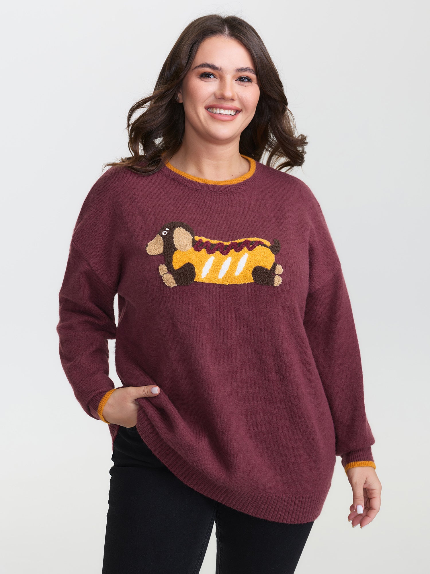 Supersoft Hotdog Embroidered Color Contrast Pullover
