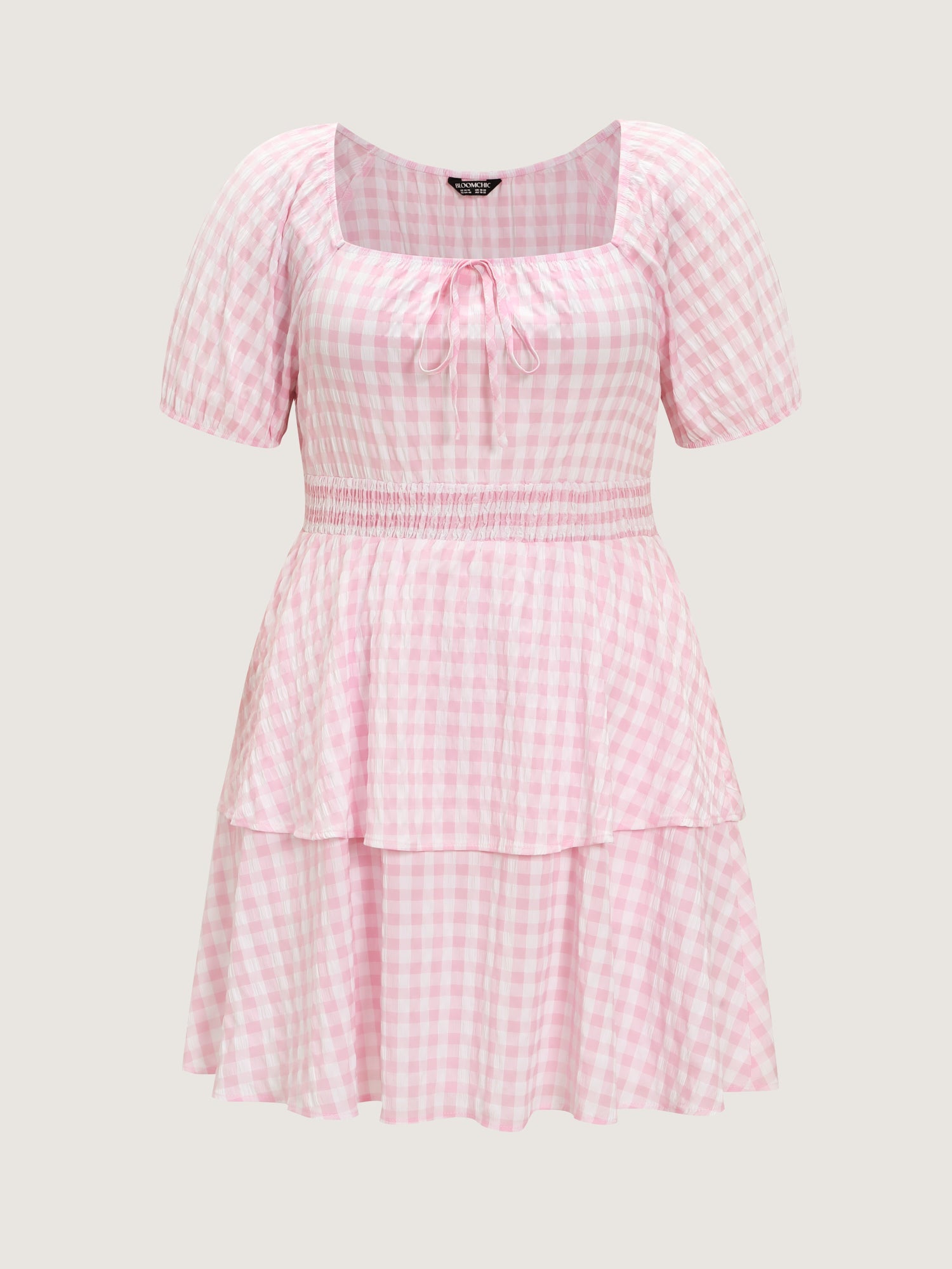 Gingham Print Fit And Flare Mini Dress