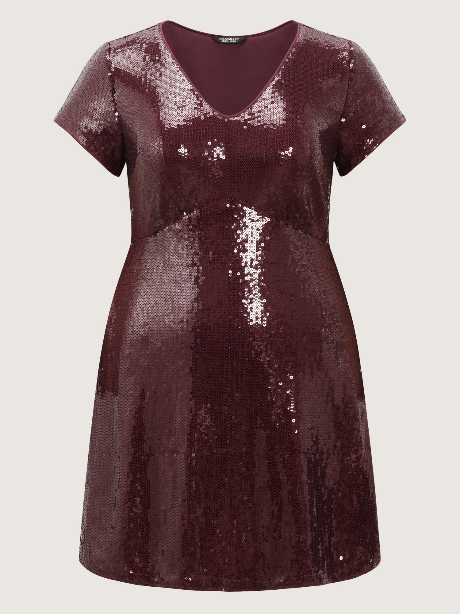 Sequin V Neck Pockets Mini Dress