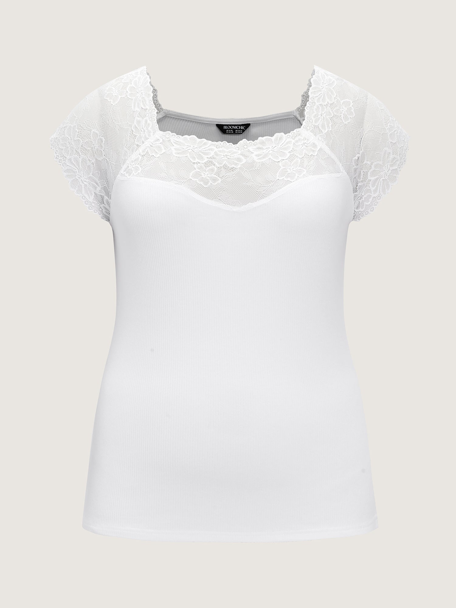 Sheer Lace Neckline Plain Knit Top